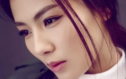 知性美女刘涛气质时尚写真,大陆明星-回车桌面