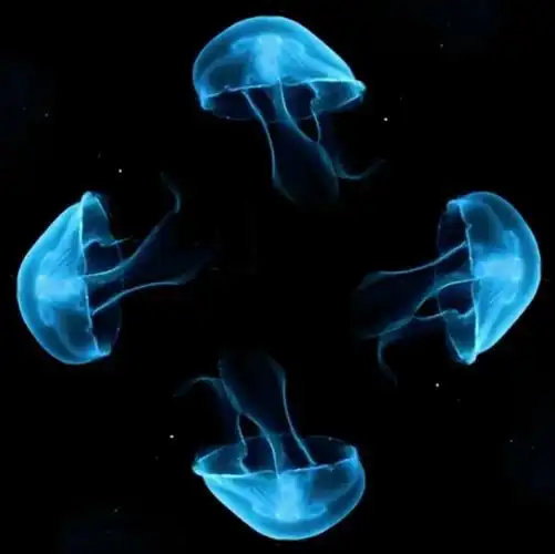 全息投影四面贴膜金字塔手机投影仪全息展柜初音创意礼品生日礼物