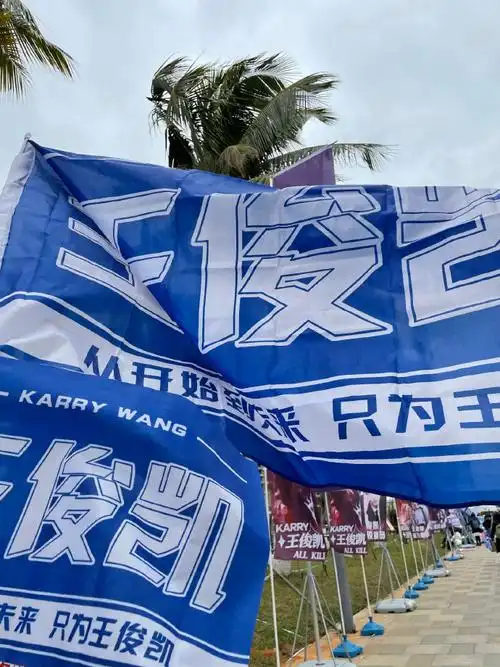 被王俊凯粉丝感动到##王俊凯工作室感谢粉丝仍在应援##王俊凯肺文