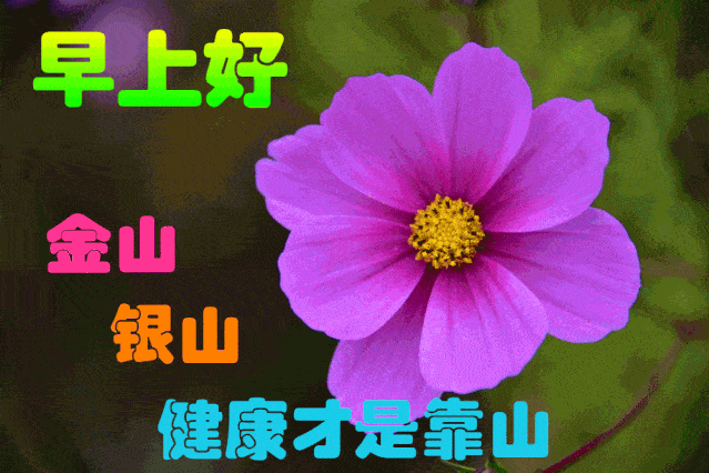 12月24日最漂亮早上好动态表情图片大全早晨好动图美图大全