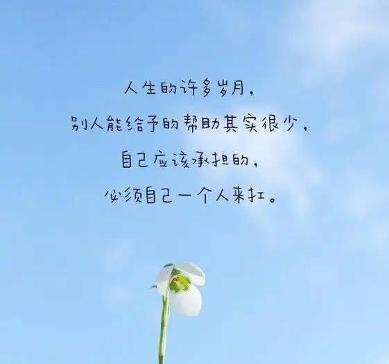 朋友圈经典哲理句子火了,成熟是越能接受现实,而不是更现实