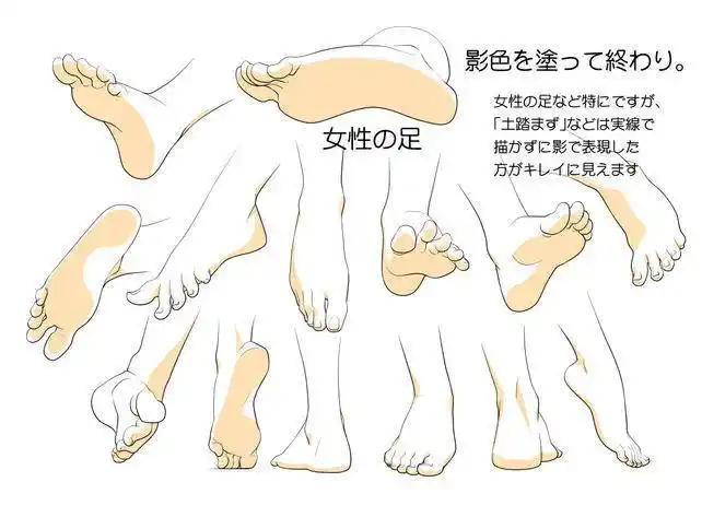 女生的脚画法:男生的脚部画法:大致了解了脚部的结构后,我们就可以将