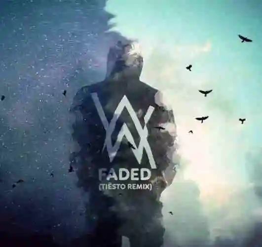 艾伦沃克cool头像