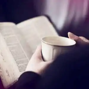 文静女生看书头像图片 书本图片大全简单漂亮 - 微信头像 - 潮人个性