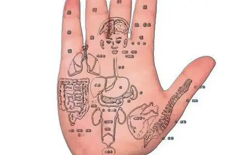 男女手掌心有痣代表什么有痣的人命运如何