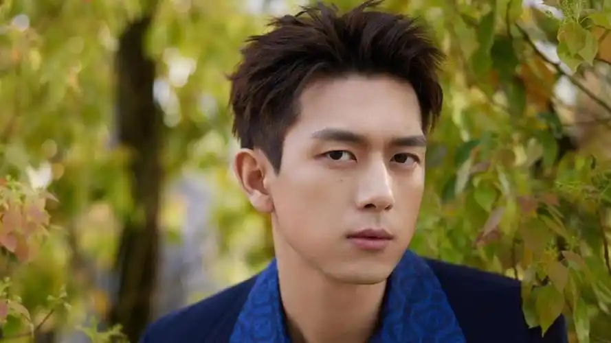 一个普通人对当红偶像剧男明星的颜值印象 - 知乎