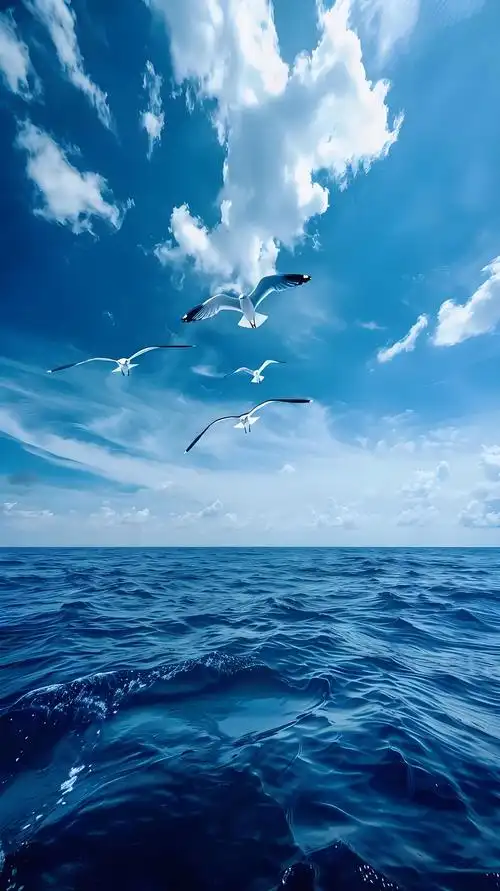 《七律·赠碧海蓝天诗友》 碧海扬帆韵自华,蓝天织锦笔生花