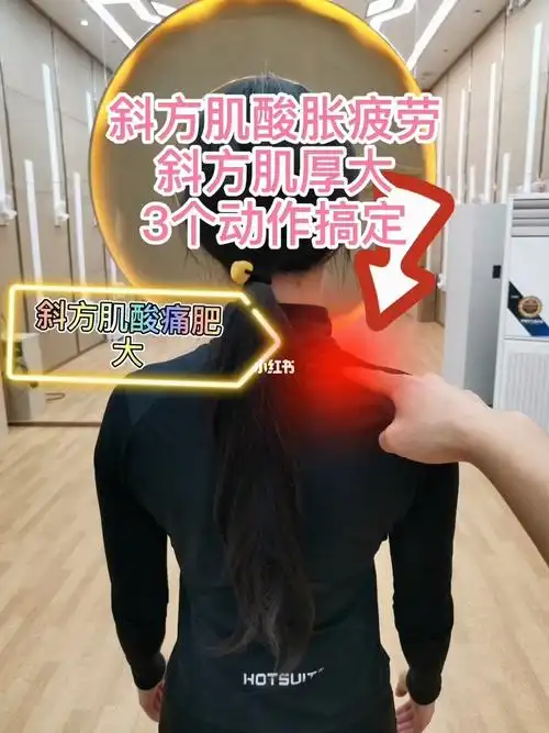 肩颈的痛苦之一:单侧斜方肌酸胀且肥大_斜方肌_肩颈_北京师范大学自由