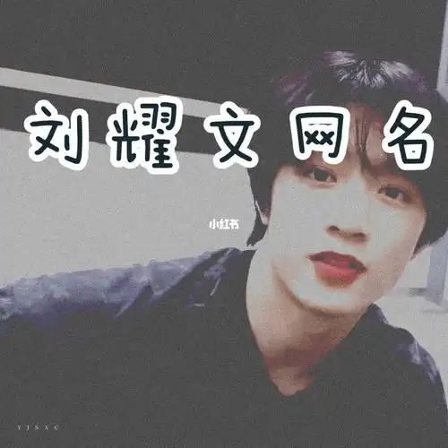 刘耀文网名2.0_刘耀文_素材_素材其他