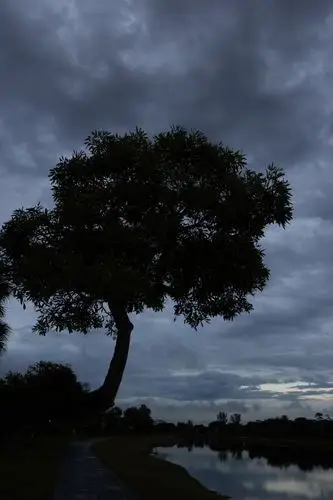 再平静的阴天,也让人觉得暗藏着力量