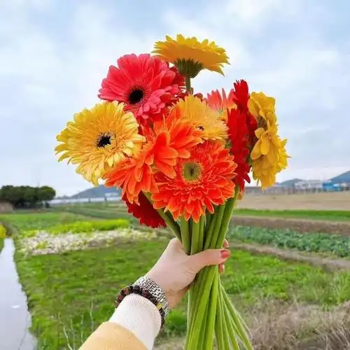 "三八"节,姐妹朋友圈大揭秘!