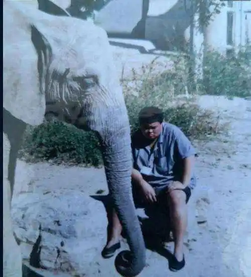 原创5件郭德纲相声中的真事儿嫂子梗中这些都是真的