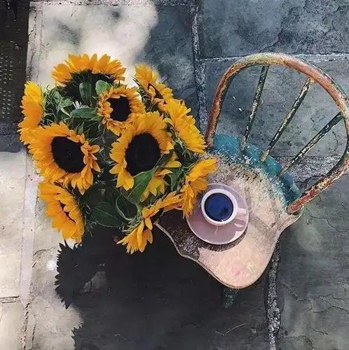 生活很现实的经典说说发朋友圈引人共鸣