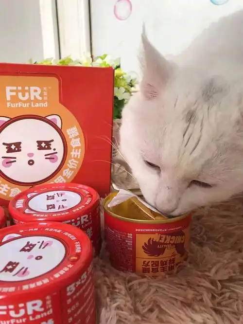 均价15一罐的猫主食罐头