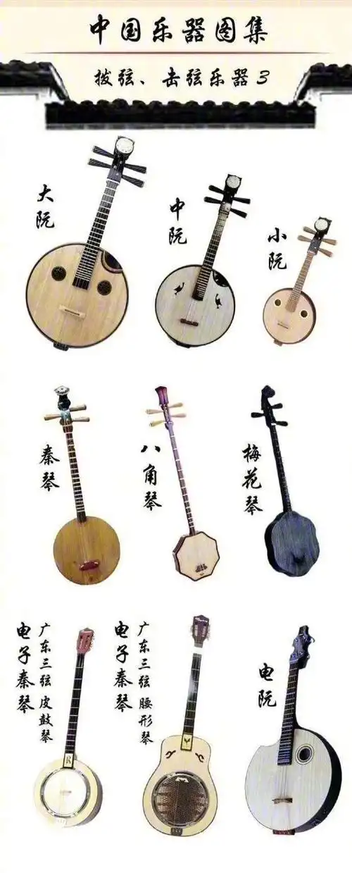 民乐乐器初相识