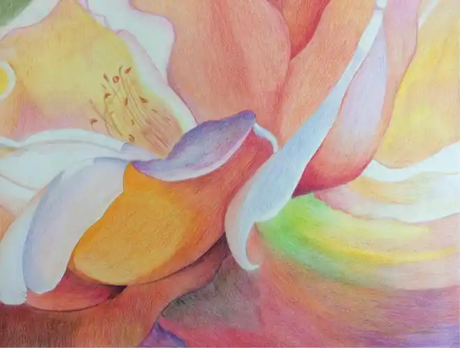 张静扬素描 彩色铅笔画作品集