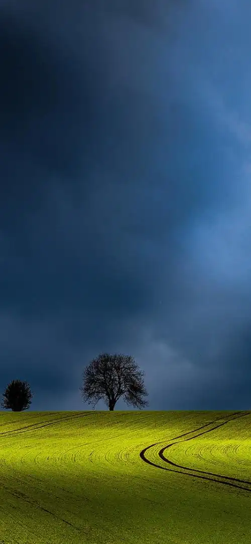 1080_2340竖版 竖屏