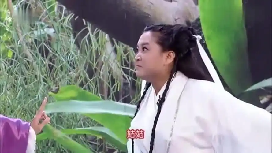 杨过见张小斐认定她是姑姑没想到她是李莫愁贾玲才是小龙女