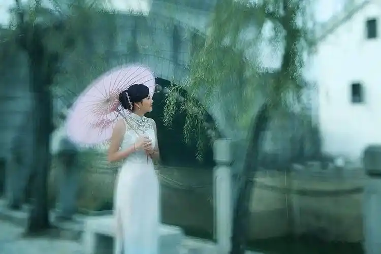 烟雨江南(笑看风云)