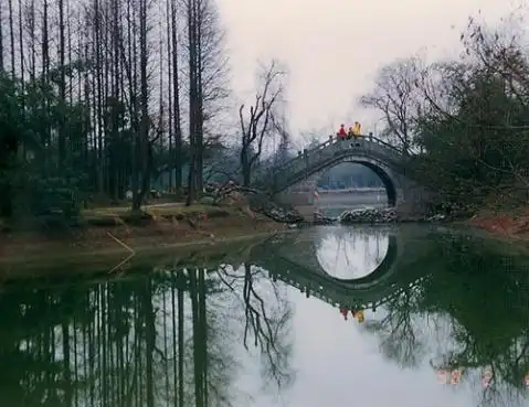 津市旅游景点哪里好玩