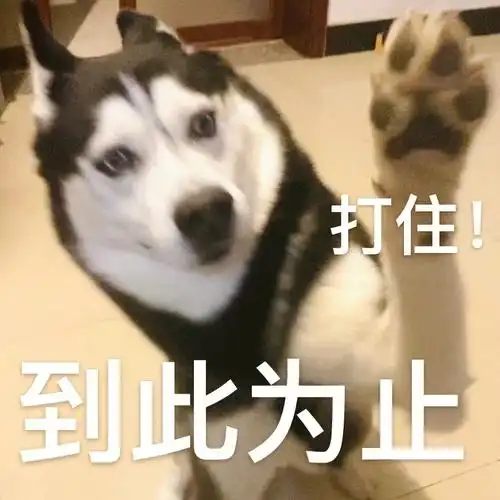 哈士奇表情包30谁帮我给第四张配个字啊