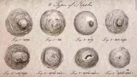 乳头形态多达8种(我已默默低头自查),直男眼中的扁,塌,凹……都太正常