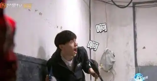 到坐拥3000多万粉丝,娱乐圈的"拼命三郎"_邓伦_因为_杨紫