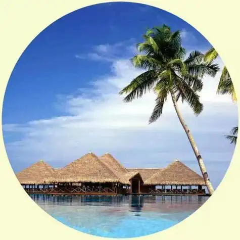 适合永久做头像的图片最佳风景让人觉得很舒适又耐看的