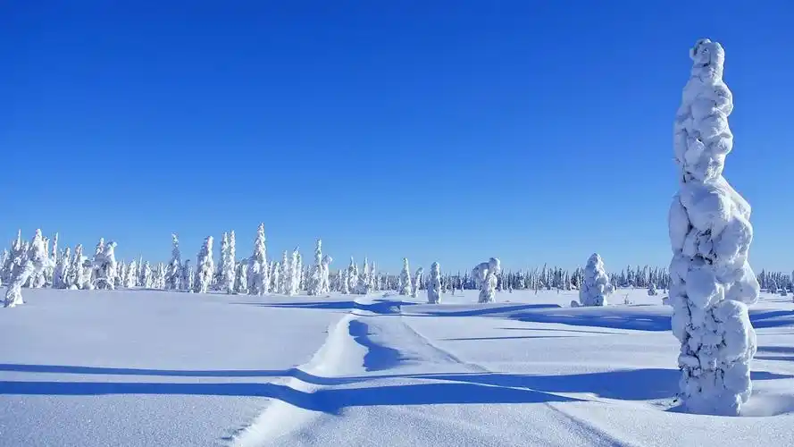 清新唯美的冬季雪景