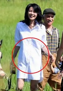 王菲怀孕是真的吗 王菲大肚照疑曝光 王菲怀孕谢霆锋未否认