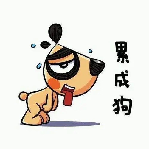 我不薄,一天总算顺利结束了,送走专家,告别学员,回家先睡一觉,累使了