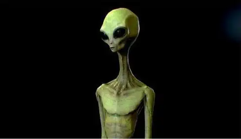 realistic alien 6-大眼睛外星人模型_3ds max其他-纳金网