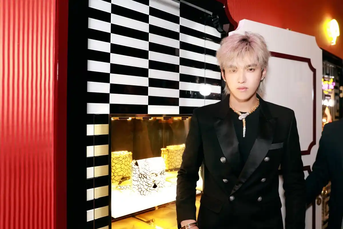 吴亦凡仗义现身宝格丽2018秋冬配饰系列新品发布会,诠释经典风格,优雅