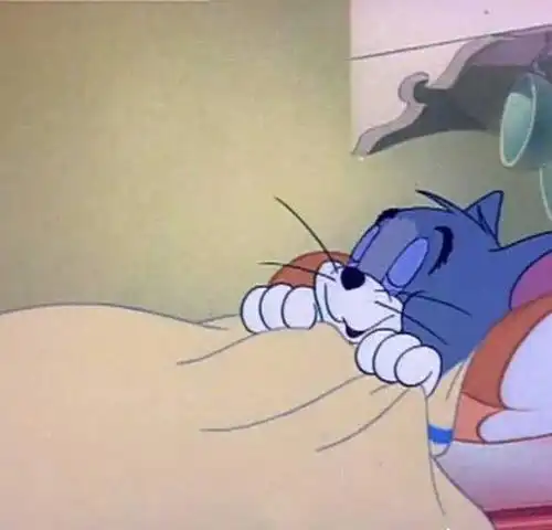 《猫和老鼠》睡觉表情包:被窝是储存好梦的地方,而我
