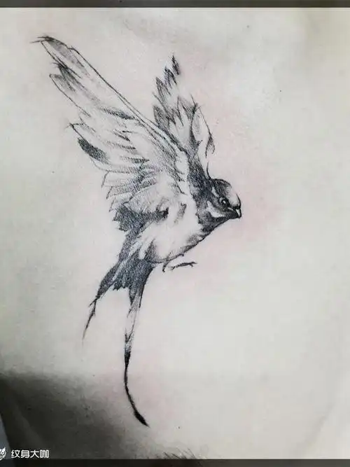燕子_纹身图案手稿图片_慧释迦的纹身作品集