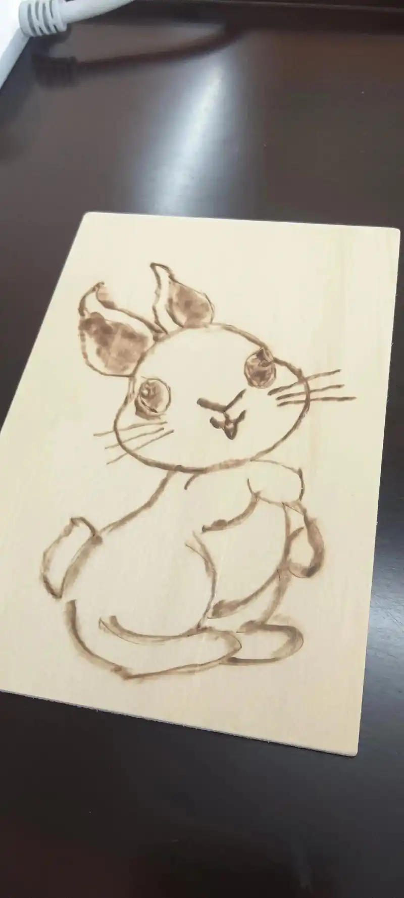 烙画,兔子,兔走鸟驰人语静,满溪红袂棹歌初. - 抖音