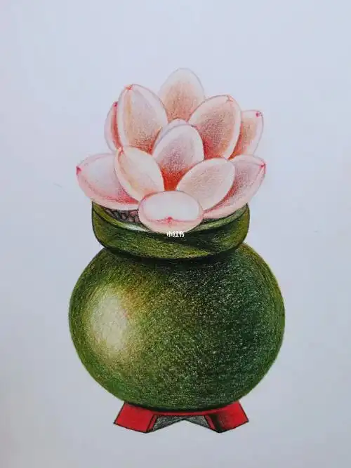 手绘  #手绘临摹  #画画  #随手画  #彩色铅笔画  #简单彩铅  #入门