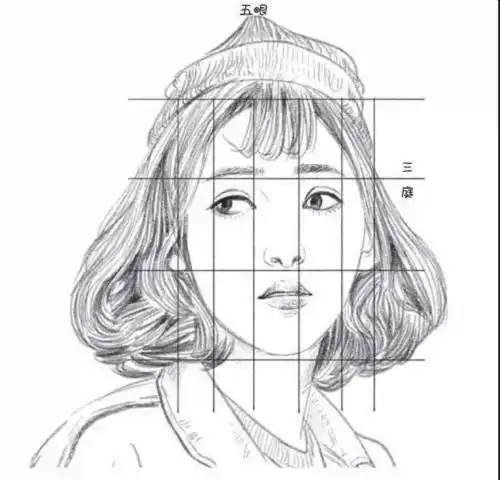 怎样确定三庭五眼?