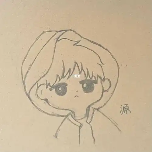 祝王源演唱会演出成功