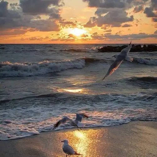 ins潮图朋友圈背景图/高质量/神仙背景