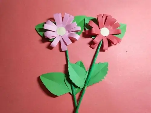 大班折纸《太阳花》育英宏程幼儿园