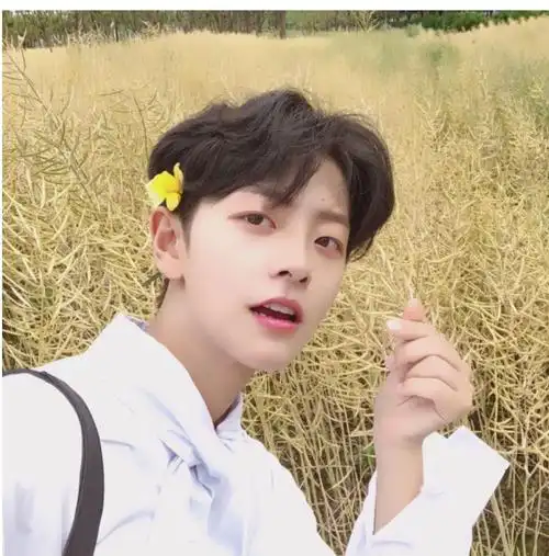 假发男中分刘海短卷发韩版帅气逼真自然蓬松网红学生全头套式 你那么