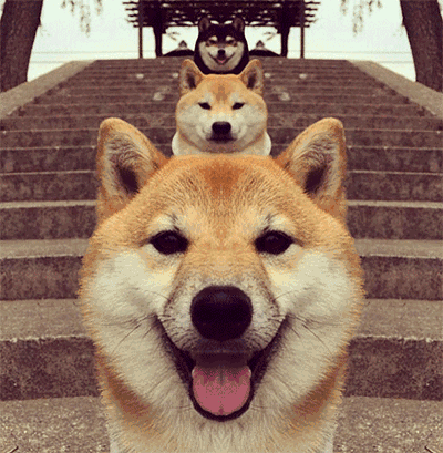 最后还有20元流量包和 ipad mini4等着你!