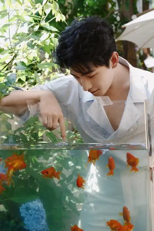 杨洋韩立##杨洋展昭##杨洋##咩咩morningcall