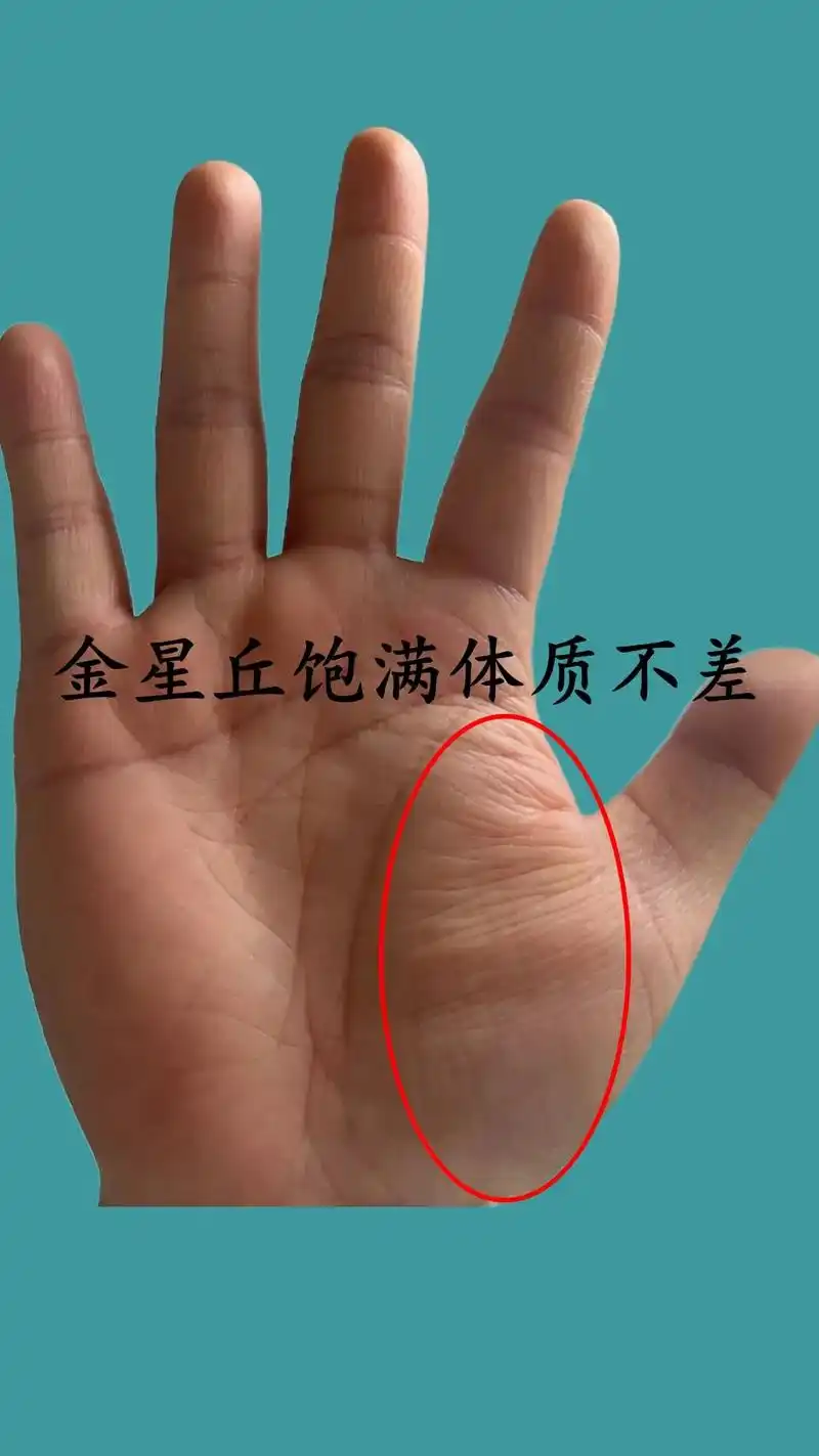 8月前·广东 1 分享 回复 ℳঞ云野꧔💕 . 我的金星