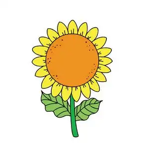 可爱的卡通向日葵白色背景为儿童打印t恤彩色书有趣和友好的性格为