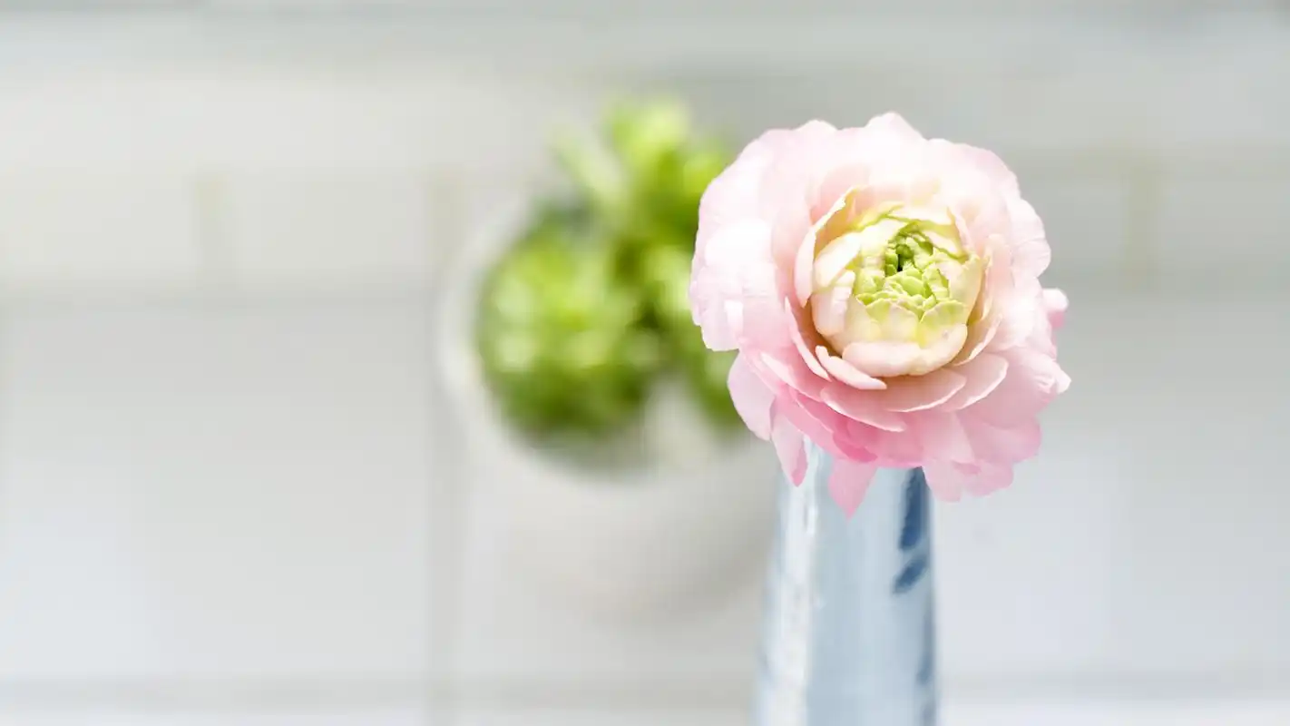 时尚家居高清现代简约风格桌面壁纸 第一辑高清大图预览1920x1080_家