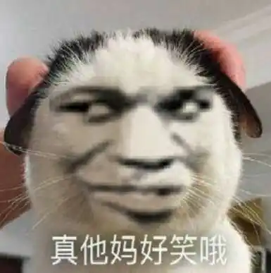 金馆长猫头坏笑真他妈好笑哦gif动图_动态图_表情包下载_soogif
