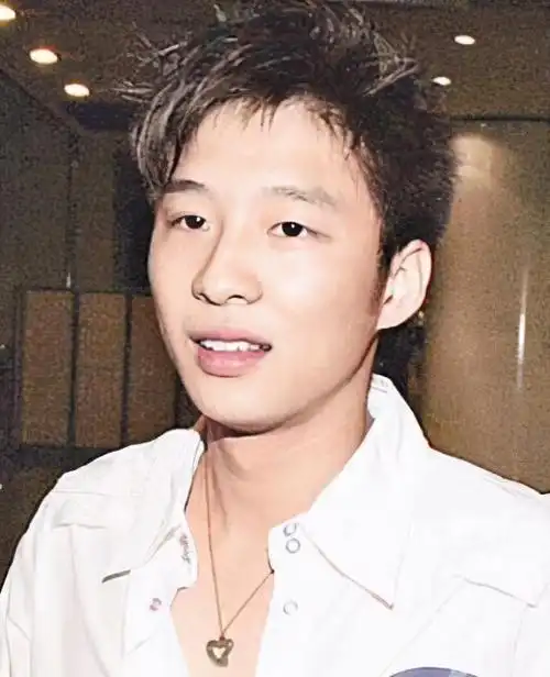 当霍启山回香港进入家族企业工作时已经是2007年,在这之前的第3年,霍