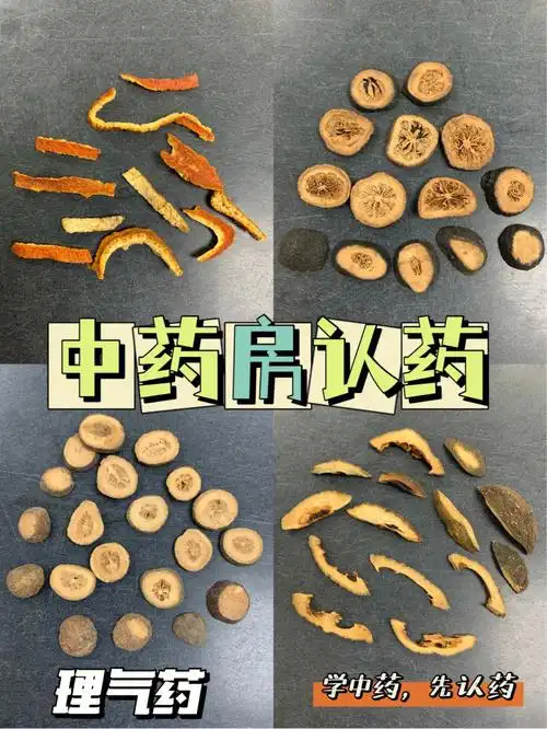 学中药先认药陈皮青皮枳实枳壳